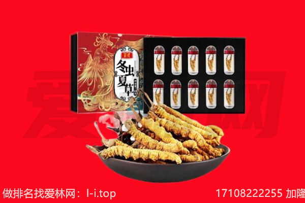 三河市回收虫草.jpg